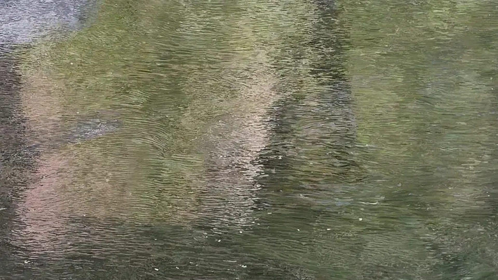 Nick Farhi, Rêverie, at Stems Gallery Paris, images courtesy of the artist and Stems Gallery